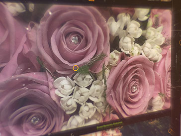 オープニングムービー　プレ花嫁