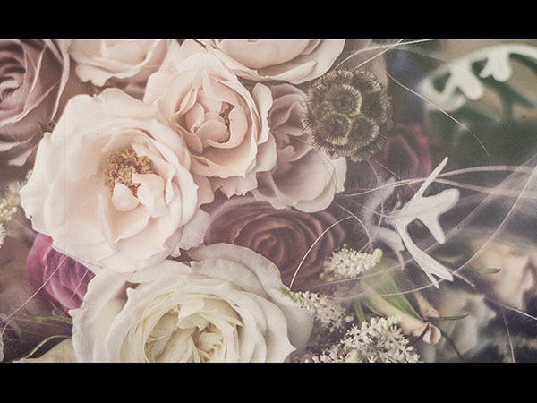 オープニングムービー　プレ花嫁