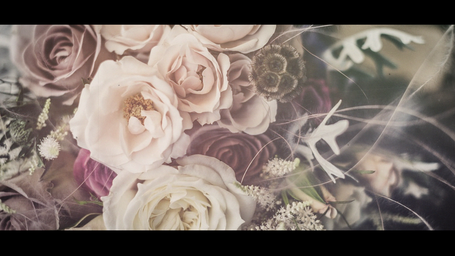 結婚式　動画　プレ花嫁