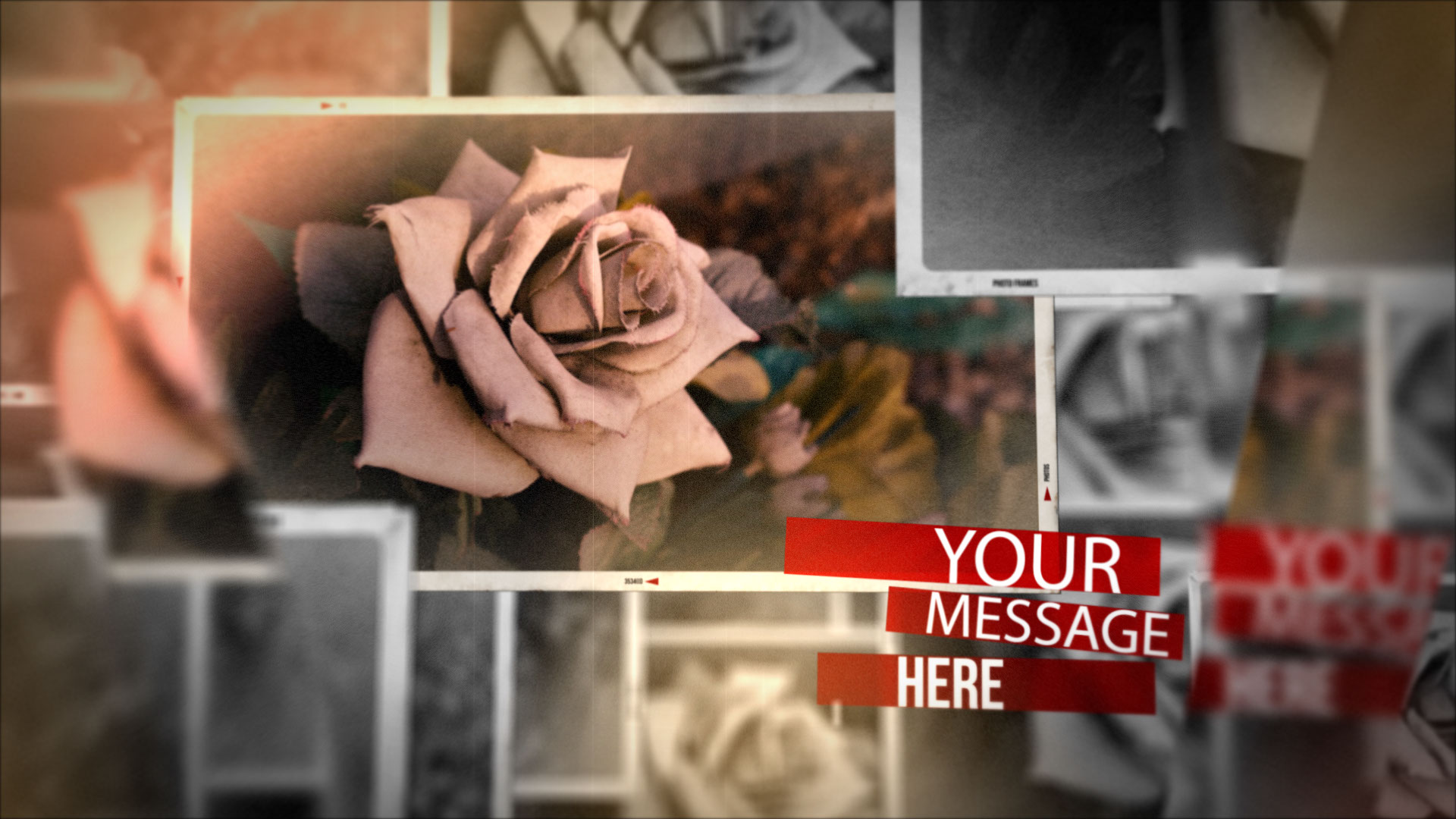 結婚式　動画　プレ花嫁