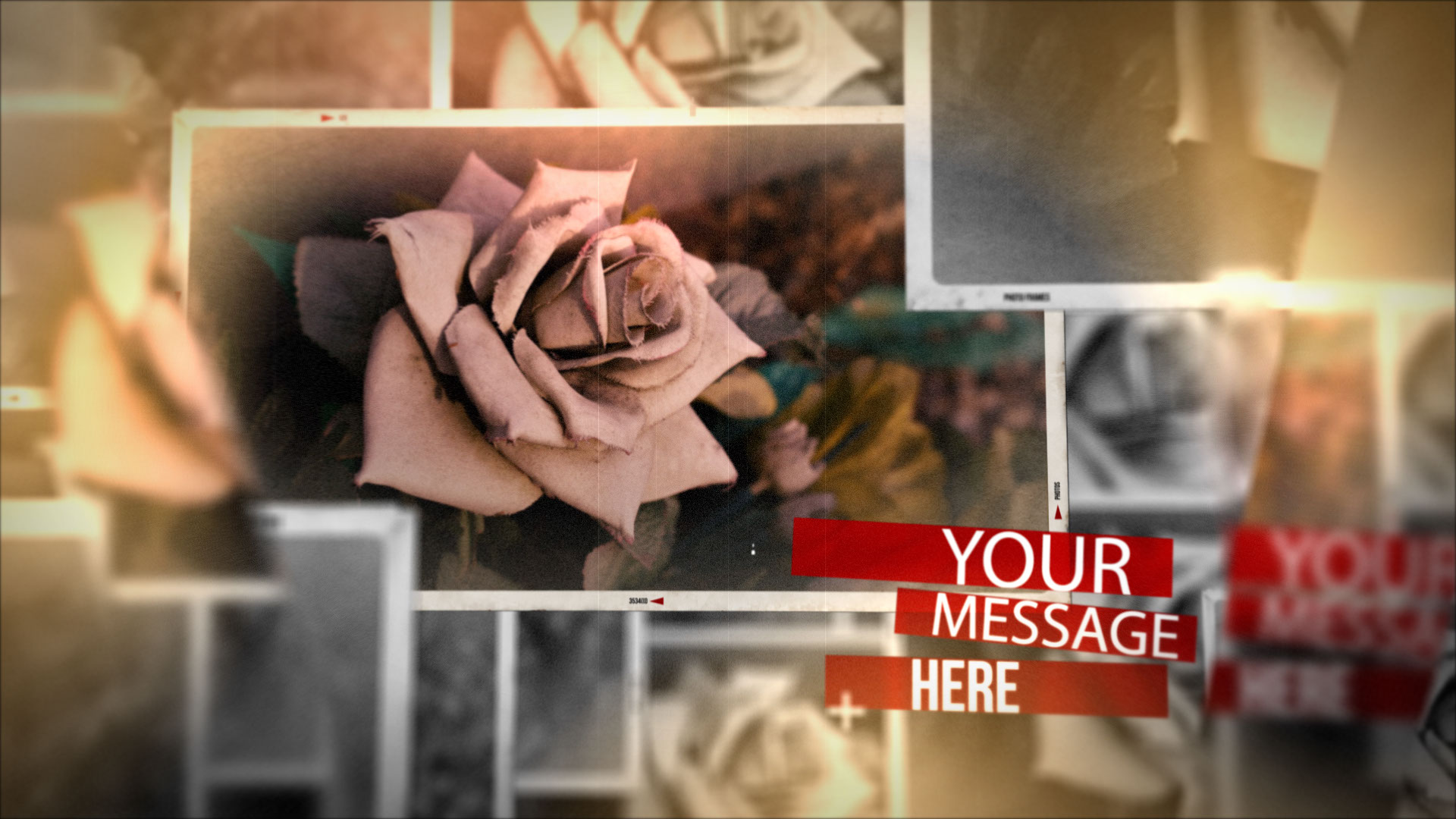 結婚式　動画　プレ花嫁