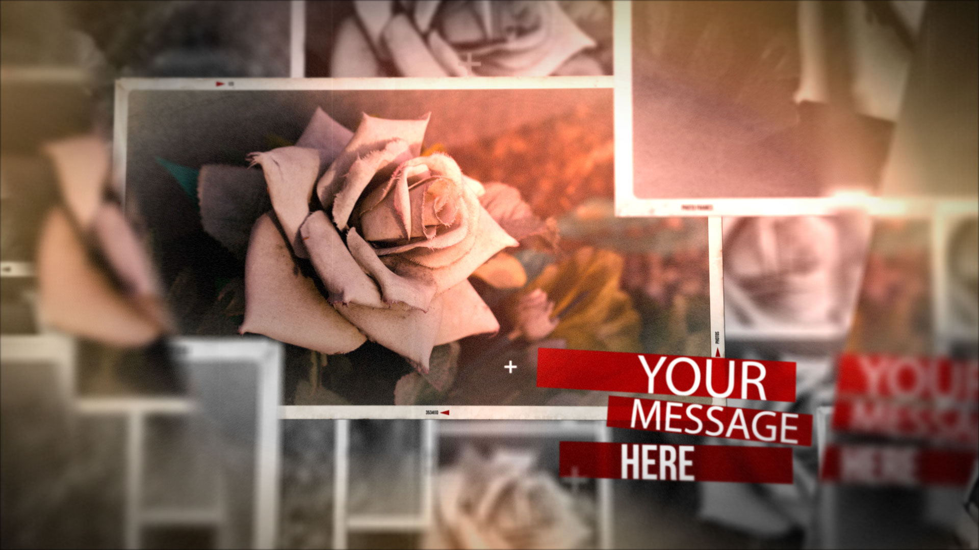 結婚式　動画　プレ花嫁