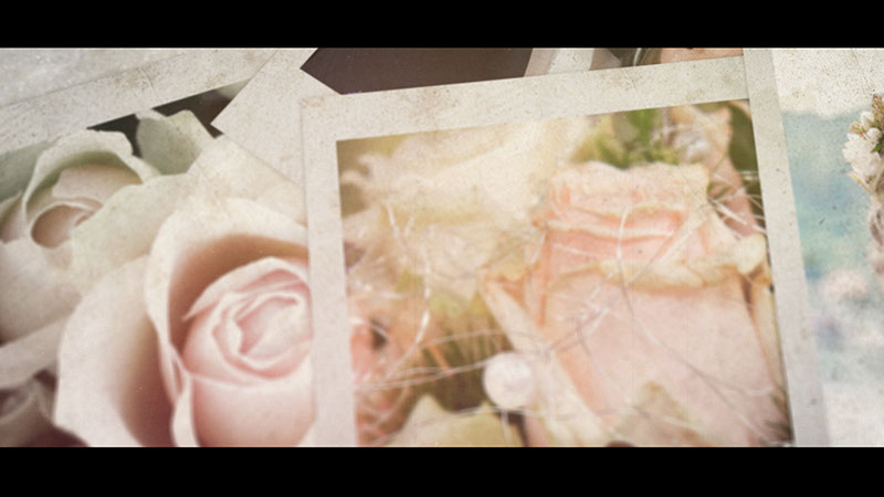 結婚式　ムービー　動画　プレ花嫁　ウェディング