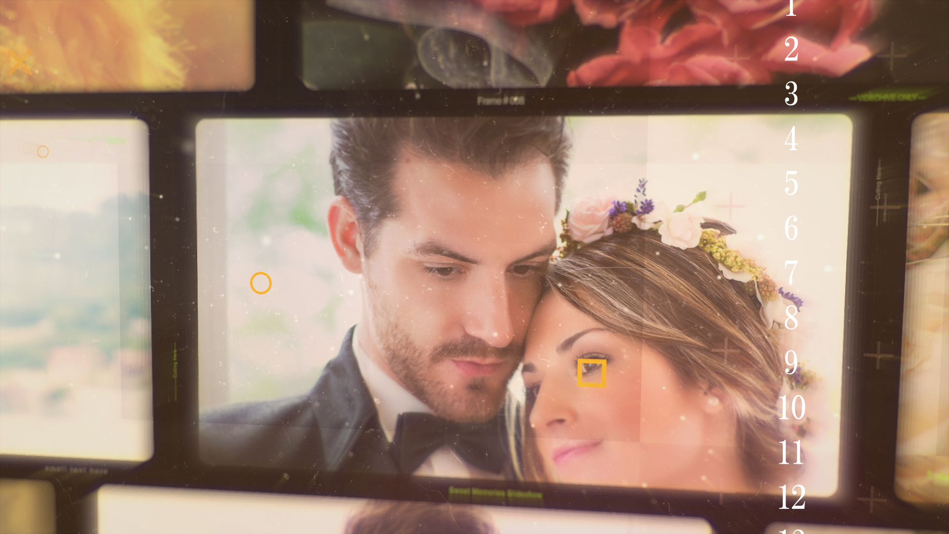 結婚式　動画　プレ花嫁