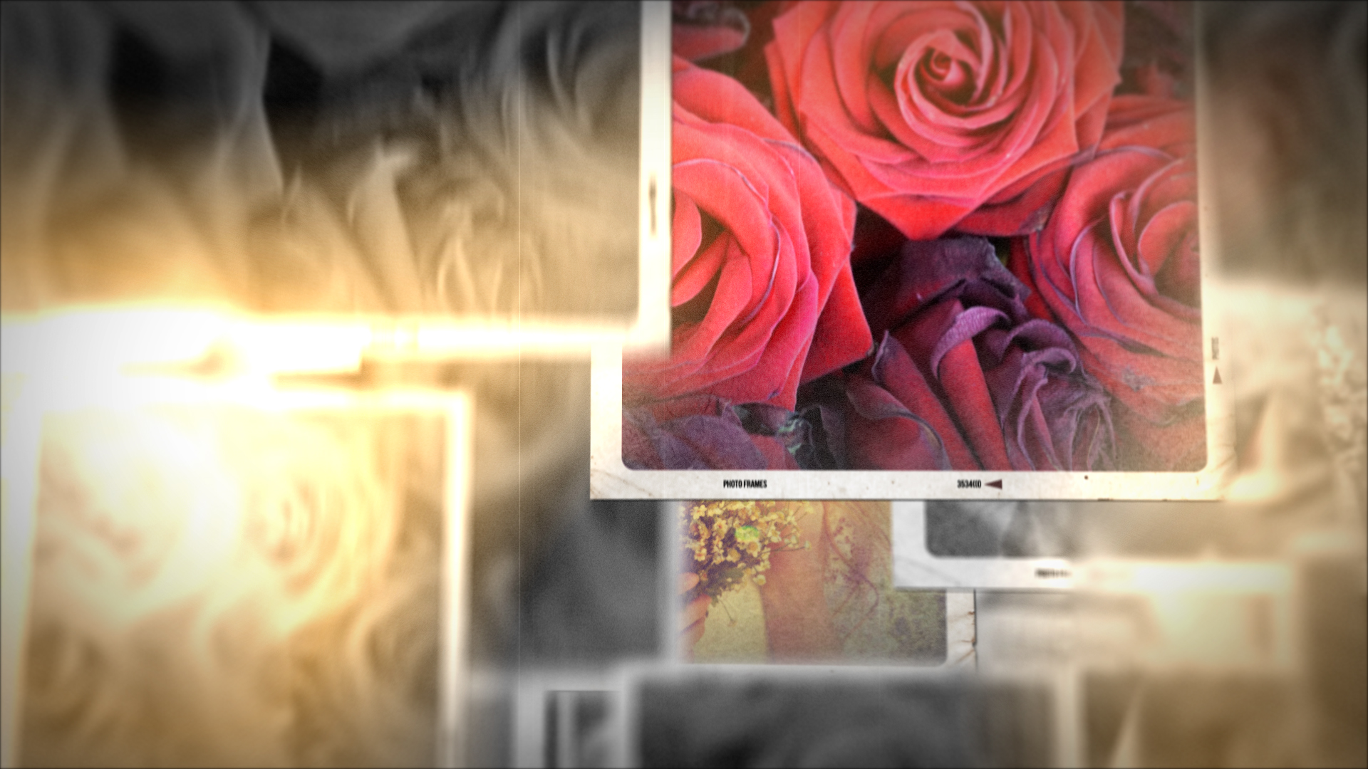 結婚式　動画　プレ花嫁