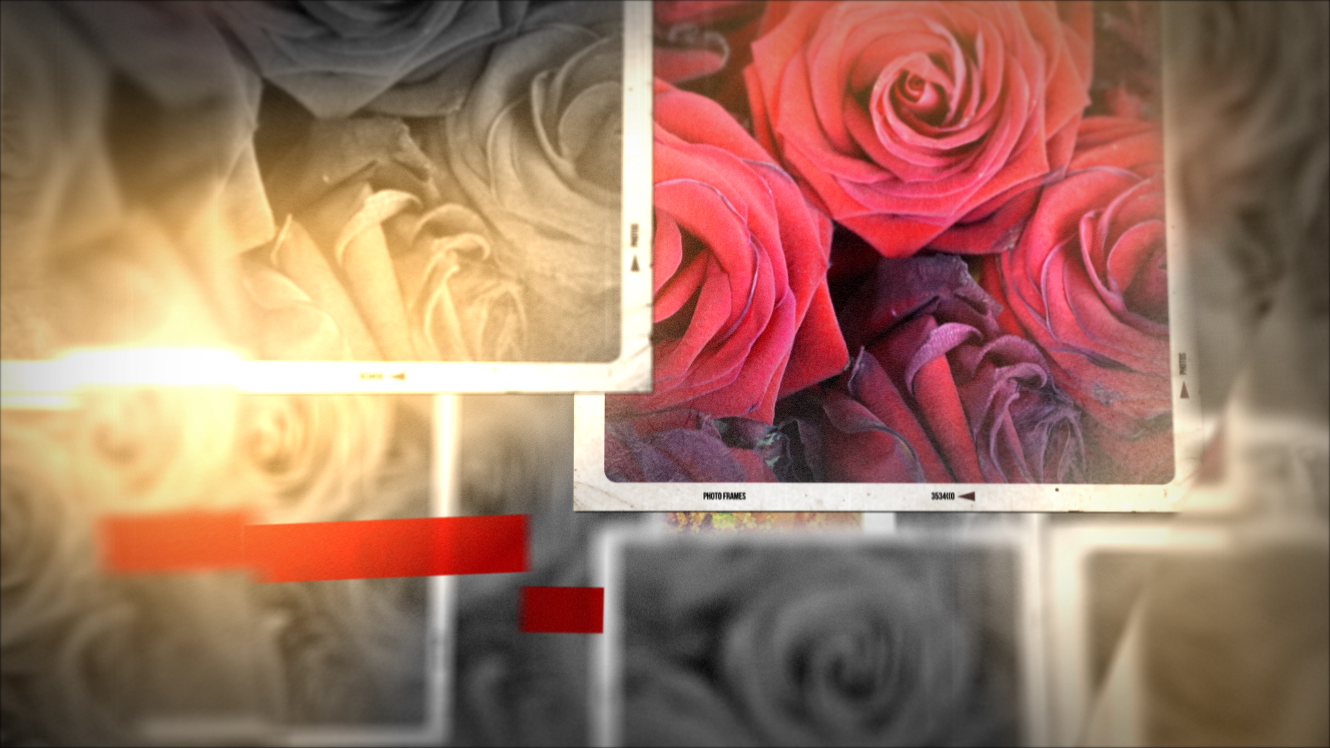 結婚式　動画　プレ花嫁