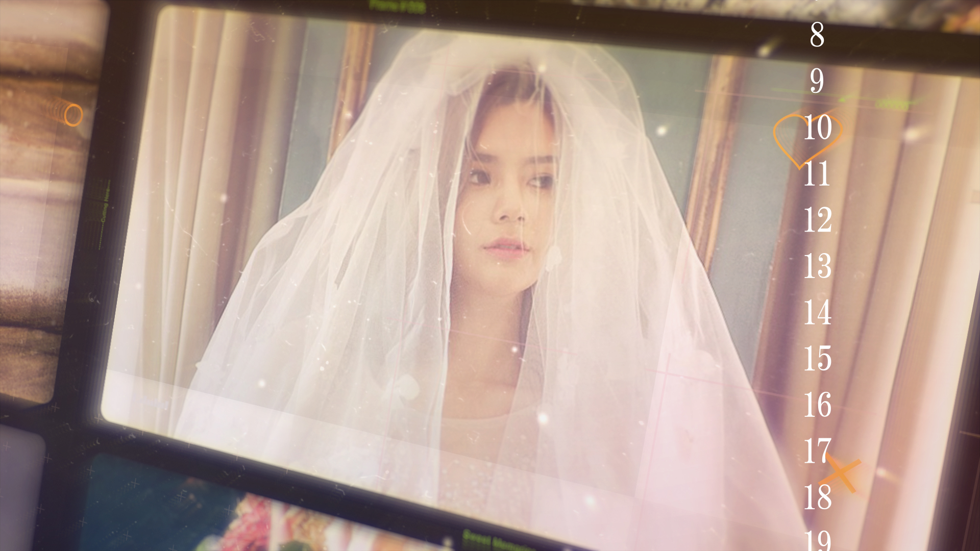 結婚式　動画　プレ花嫁