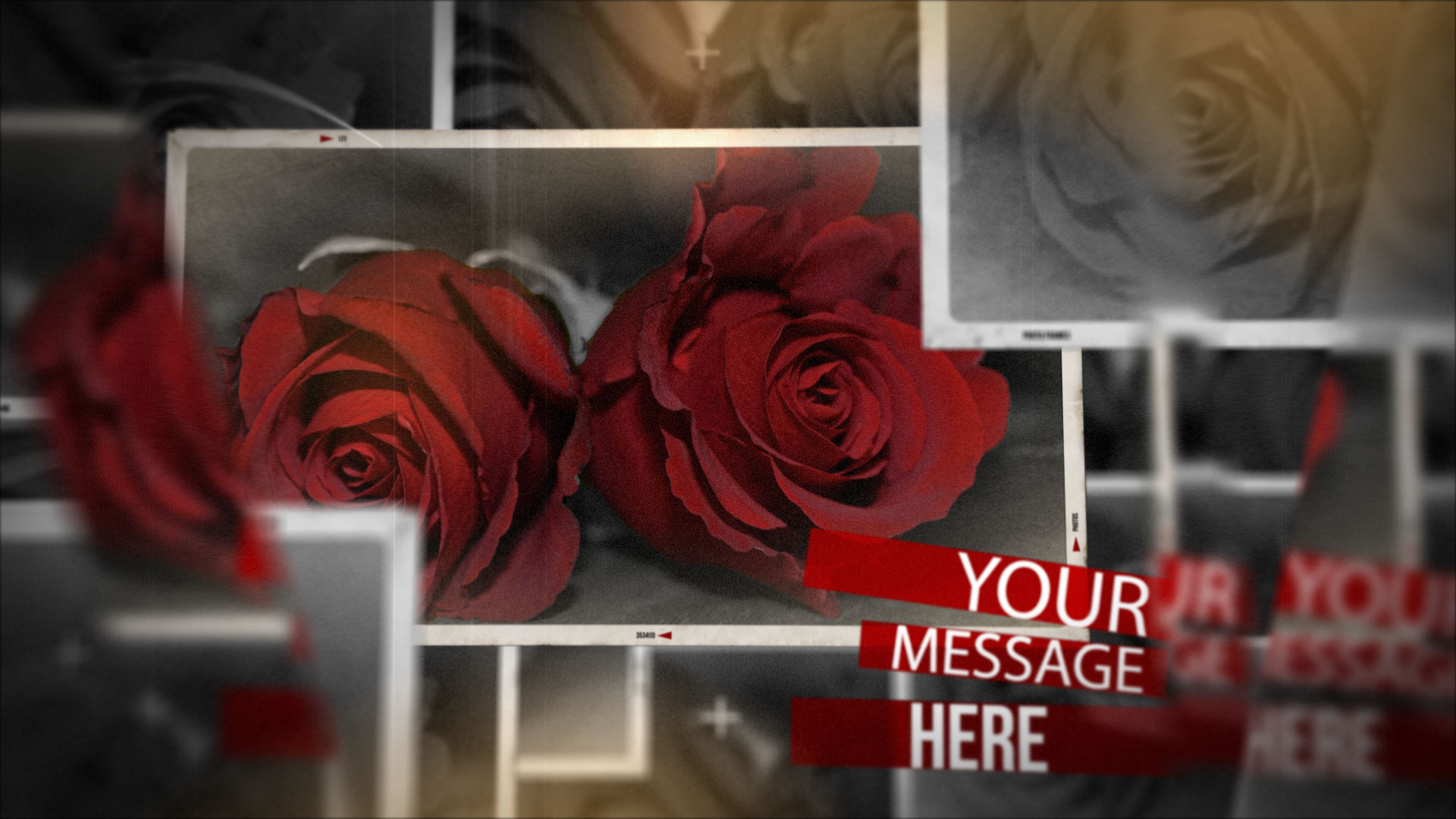 結婚式　動画　プレ花嫁