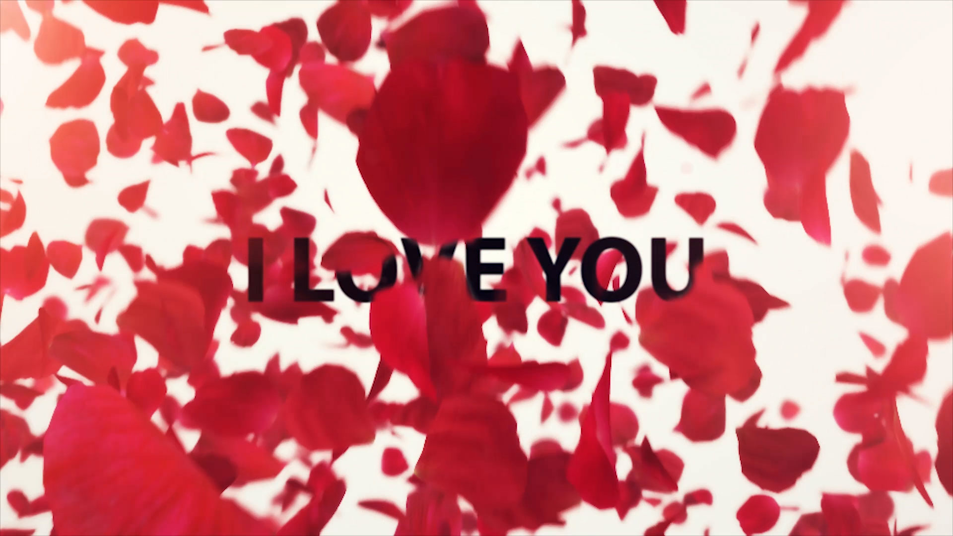 結婚式　動画　プレ花嫁