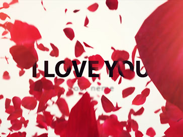 オープニングムービー　プレ花嫁