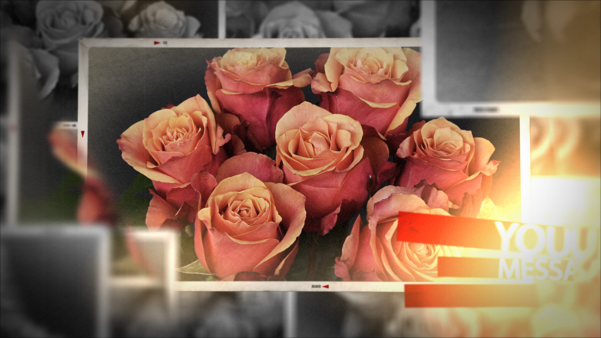 結婚式　動画　プレ花嫁