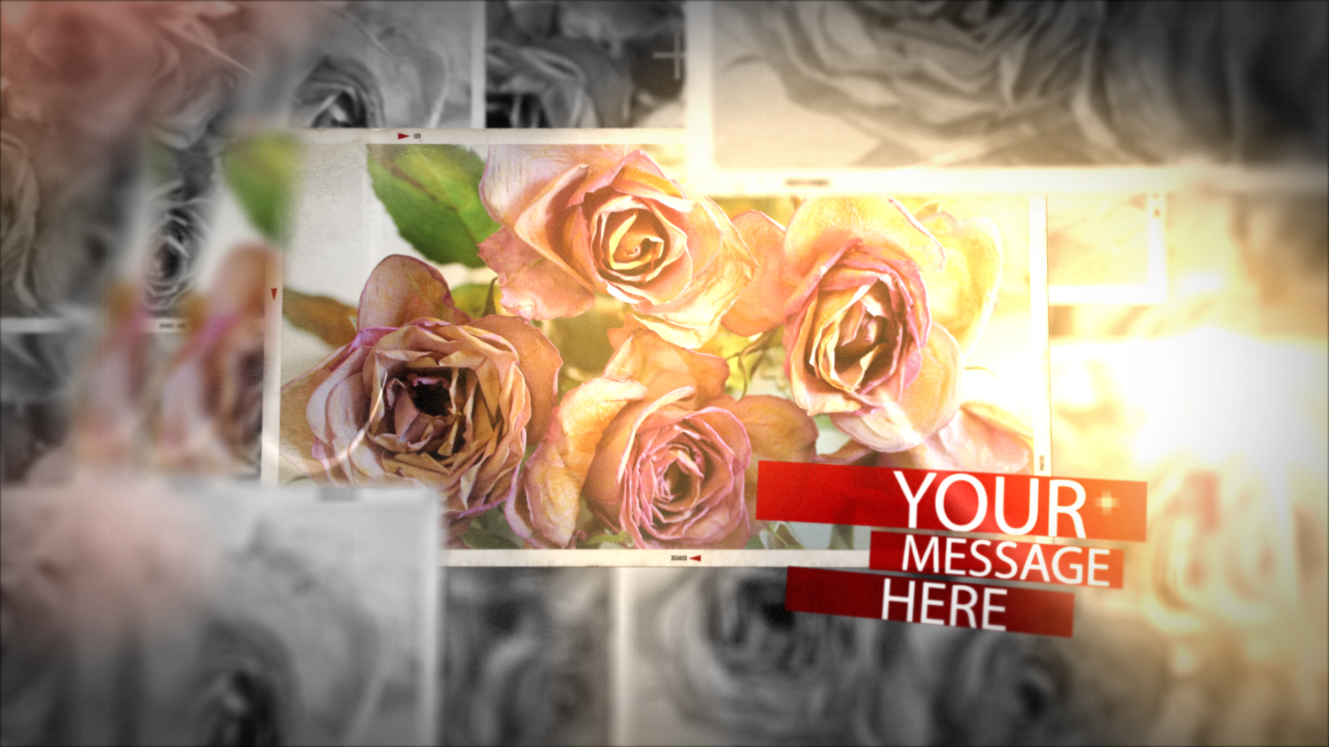 結婚式　動画　プレ花嫁