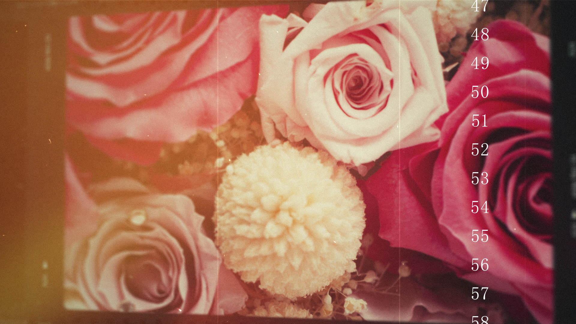 結婚式　動画　プレ花嫁