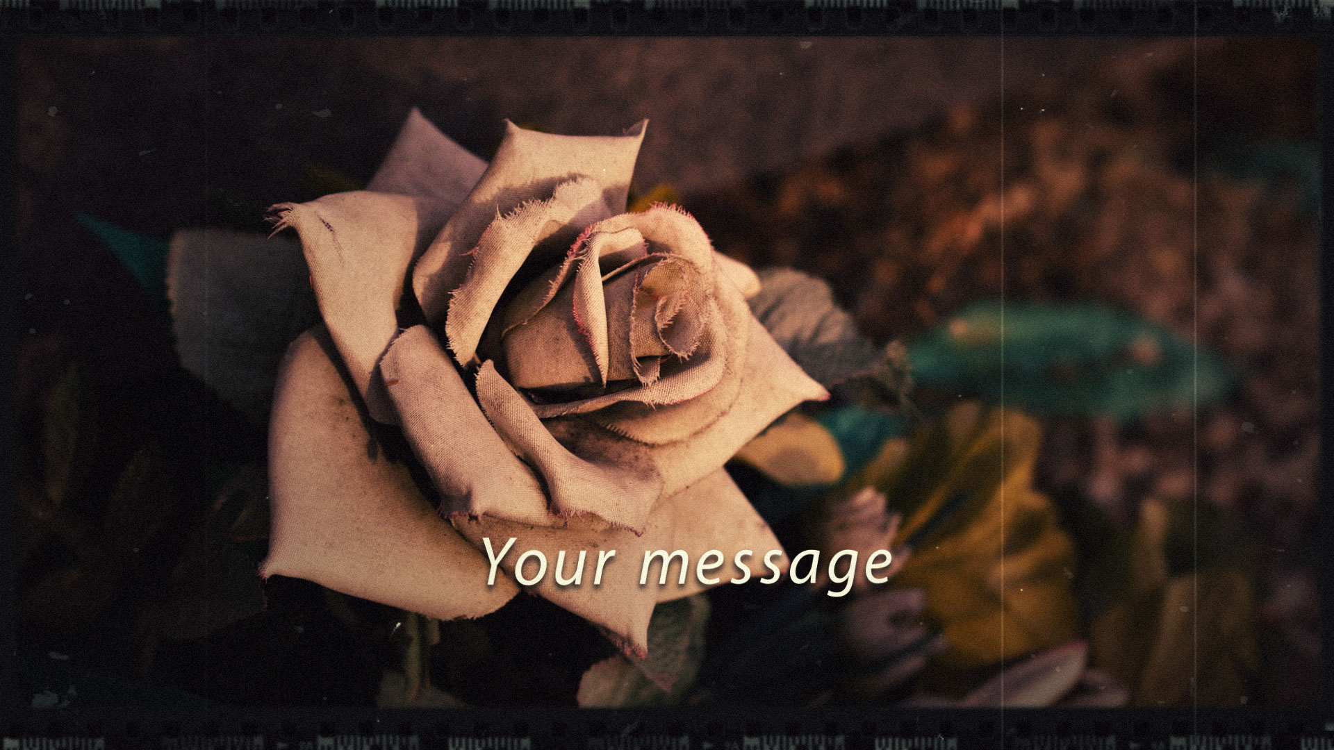 結婚式　動画　プレ花嫁