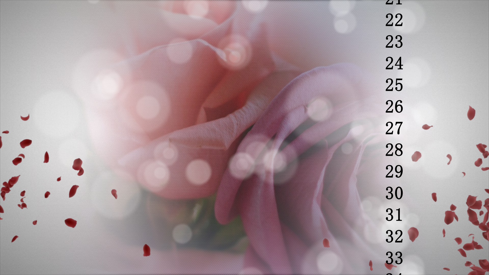 結婚式　動画　プレ花嫁