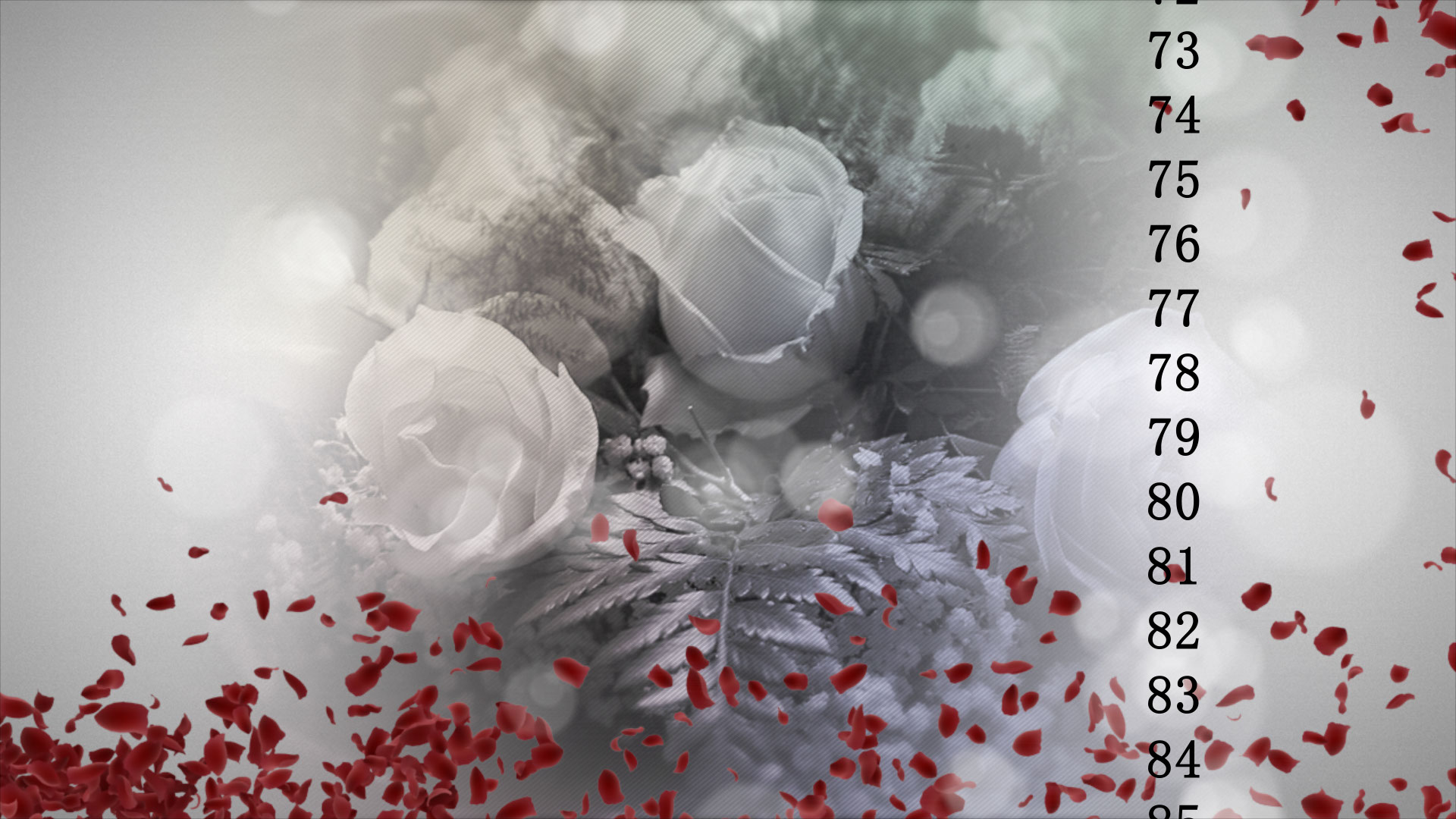 結婚式　動画　プレ花嫁