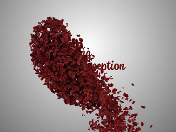 エンドロールムービー　プレ花嫁